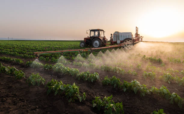 Best Commercial Pest Control Services  in Wahoo, NE