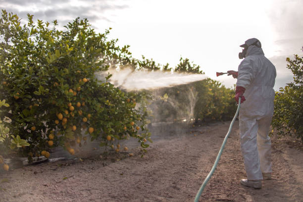 Reliable Wahoo, NE Pest Control Solutions