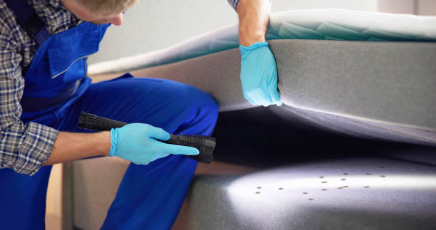 Best Termite Control Services  in Wahoo, NE