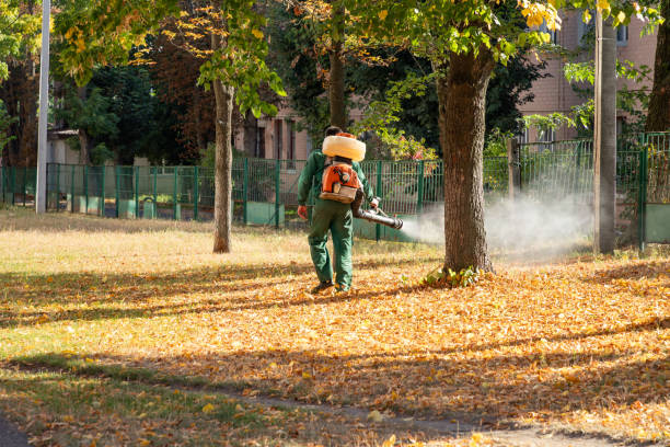 Best Best Pest Control Companies  in Wahoo, NE