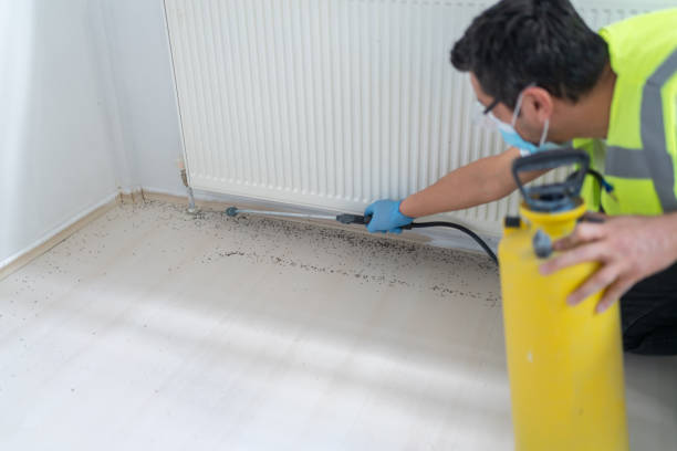 Best Exterminator Services  in Wahoo, NE